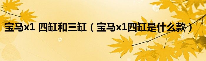 宝马x1 四缸和三缸（宝马x1四缸是什么款）