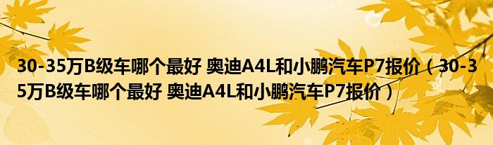 30-35万B级车哪个最好 奥迪A4L和小鹏汽车P7报价（30-35万B级车哪个最好 奥迪A4L和小鹏汽车P7报价）