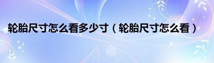 轮胎尺寸怎么看多少寸（轮胎尺寸怎么看）