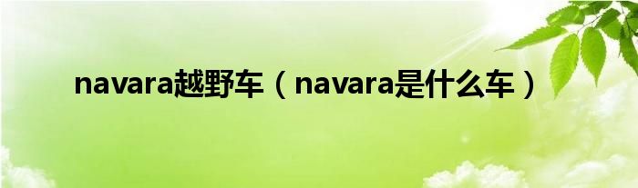 navara越野车（navara是什么车）