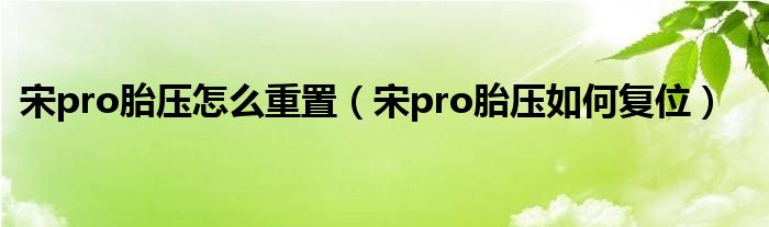 宋pro胎压怎么重置（宋pro胎压如何复位）