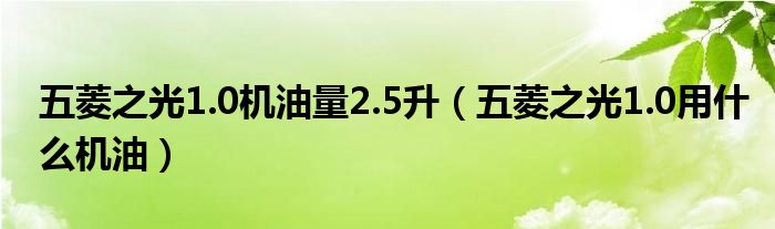 五菱之光1.0机油量2.5升（五菱之光1.0用什么机油）