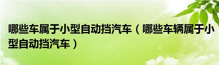 哪些车属于小型自动挡汽车（哪些车辆属于小型自动挡汽车）