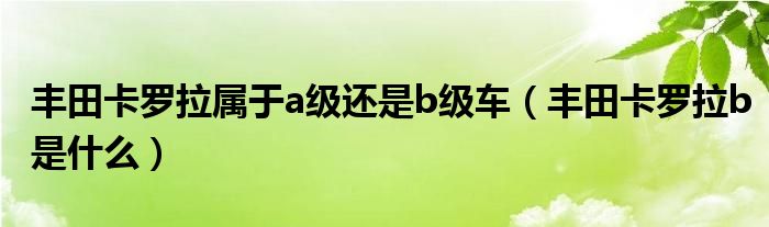 丰田卡罗拉属于a级还是b级车（丰田卡罗拉b是什么）