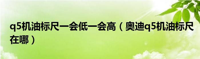 q5机油标尺一会低一会高（奥迪q5机油标尺在哪）