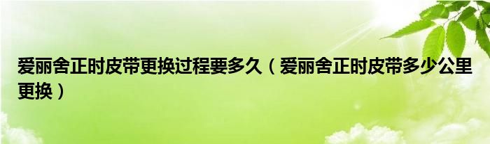 爱丽舍正时皮带更换过程要多久（爱丽舍正时皮带多少公里更换）