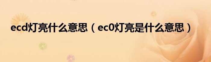 ecd灯亮什么意思（ec0灯亮是什么意思）