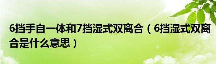 6挡手自一体和7挡湿式双离合（6挡湿式双离合是什么意思）