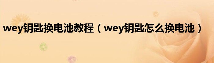 wey钥匙换电池教程（wey钥匙怎么换电池）