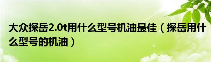 大众探岳2.0t用什么型号机油最佳（探岳用什么型号的机油）