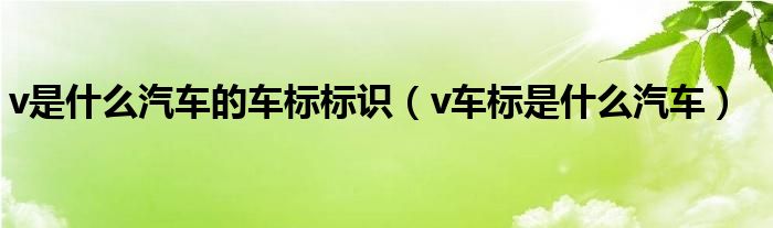 v是什么汽车的车标标识（v车标是什么汽车）