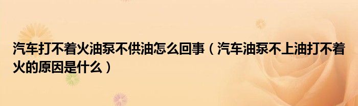 汽车打不着火油泵不供油怎么回事（汽车油泵不上油打不着火的原因是什么）