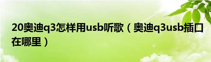 20奥迪q3怎样用usb听歌（奥迪q3usb插口在哪里）