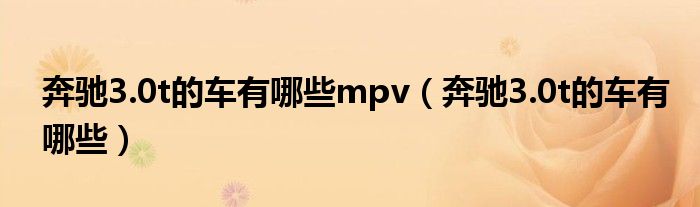 奔驰3.0t的车有哪些mpv（奔驰3.0t的车有哪些）