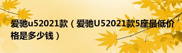 爱驰u52021款（爱驰U52021款5座最低价格是多少钱）