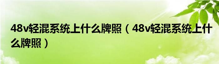 48v轻混系统上什么牌照（48v轻混系统上什么牌照）