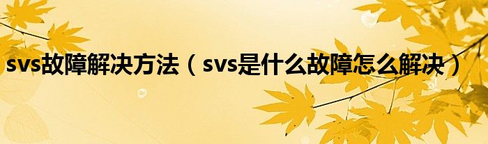 svs故障解决方法（svs是什么故障怎么解决）