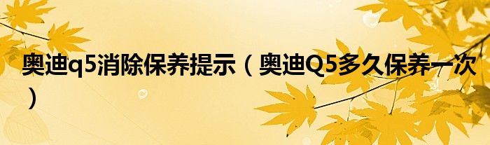 奥迪q5消除保养提示（奥迪Q5多久保养一次）