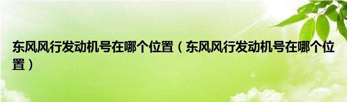 东风风行发动机号在哪个位置（东风风行发动机号在哪个位置）