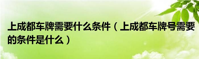 上成都车牌需要什么条件（上成都车牌号需要的条件是什么）