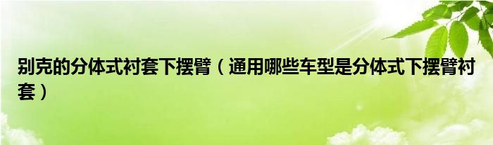 别克的分体式衬套下摆臂（通用哪些车型是分体式下摆臂衬套）