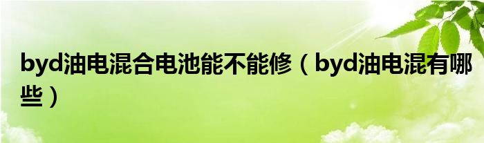 byd油电混合电池能不能修（byd油电混有哪些）