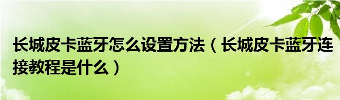 长城皮卡蓝牙怎么设置方法（长城皮卡蓝牙连接教程是什么）