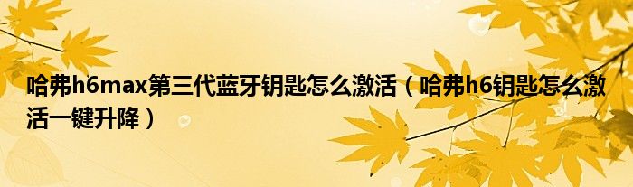 哈弗h6max第三代蓝牙钥匙怎么激活（哈弗h6钥匙怎么激活一键升降）