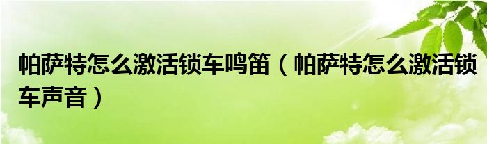 帕萨特怎么激活锁车鸣笛（帕萨特怎么激活锁车声音）