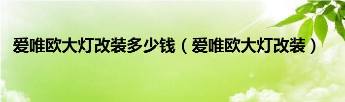 爱唯欧大灯改装多少钱（爱唯欧大灯改装）