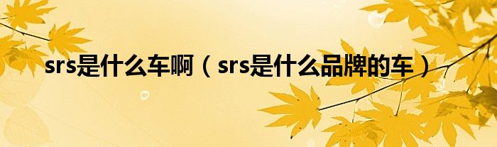 srs是什么车啊（srs是什么品牌的车）