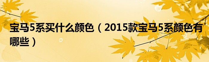 宝马5系买什么颜色（2015款宝马5系颜色有哪些）