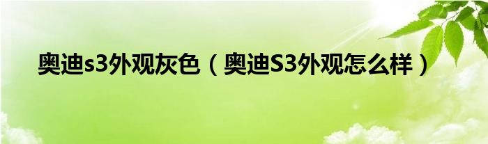 奥迪s3外观灰色（奥迪S3外观怎么样）