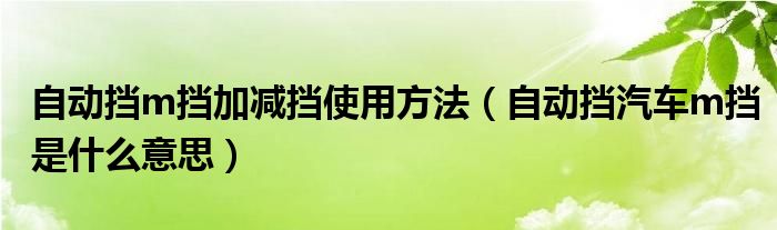 自动挡m挡加减挡使用方法（自动挡汽车m挡是什么意思）