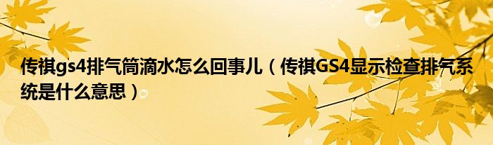 传祺gs4排气筒滴水怎么回事儿（传祺GS4显示检查排气系统是什么意思）