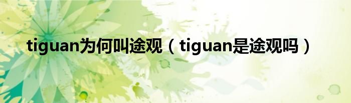 tiguan为何叫途观（tiguan是途观吗）