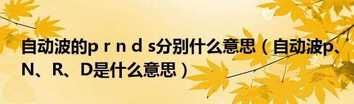 自动波的p r n d s分别什么意思（自动波p、N、R、D是什么意思）