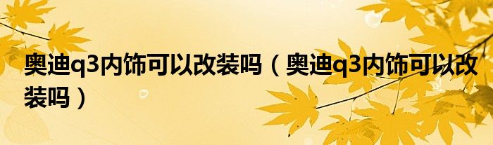 奥迪q3内饰可以改装吗（奥迪q3内饰可以改装吗）