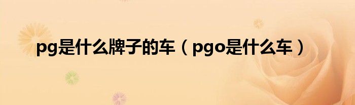 pg是什么牌子的车（pgo是什么车）