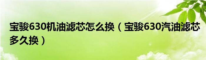 宝骏630机油滤芯怎么换（宝骏630汽油滤芯多久换）