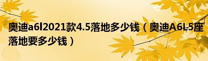 奥迪a6l2021款4.5落地多少钱（奥迪A6L5座落地要多少钱）