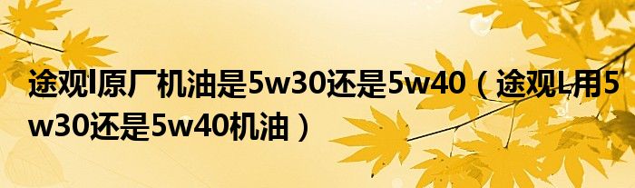 途观l原厂机油是5w30还是5w40（途观L用5w30还是5w40机油）