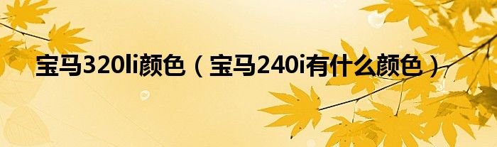 宝马320li颜色（宝马240i有什么颜色）