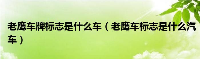 老鹰车牌标志是什么车（老鹰车标志是什么汽车）