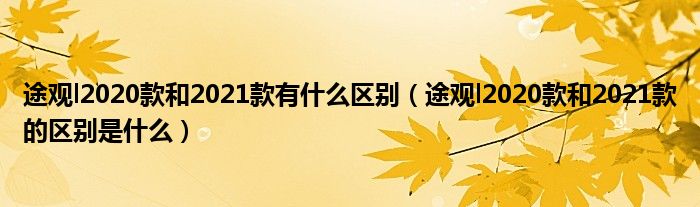 途观l2020款和2021款有什么区别（途观l2020款和2021款的区别是什么）