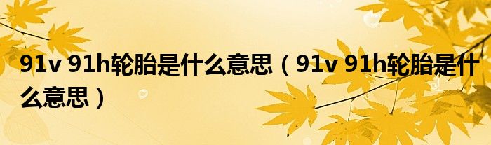 91v 91h轮胎是什么意思（91v 91h轮胎是什么意思）