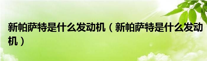 新帕萨特是什么发动机（新帕萨特是什么发动机）