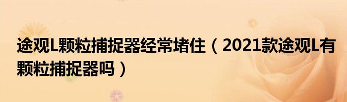 途观L颗粒捕捉器经常堵住（2021款途观L有颗粒捕捉器吗）