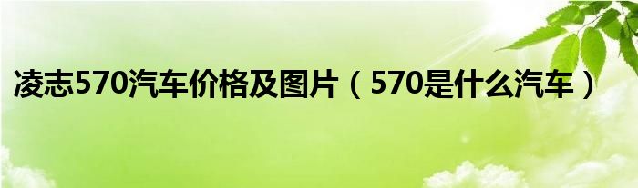 凌志570汽车价格及图片（570是什么汽车）