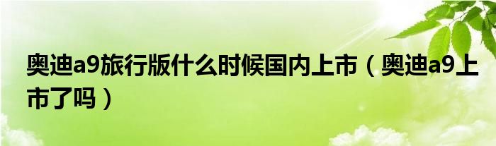 奥迪a9旅行版什么时候国内上市（奥迪a9上市了吗）